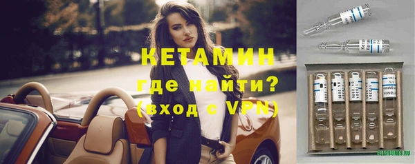 сатива Арсеньев