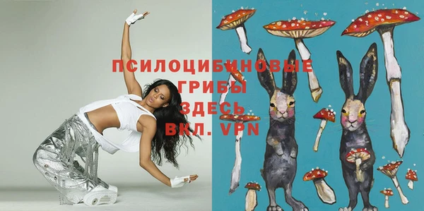Альфа ПВП Армянск